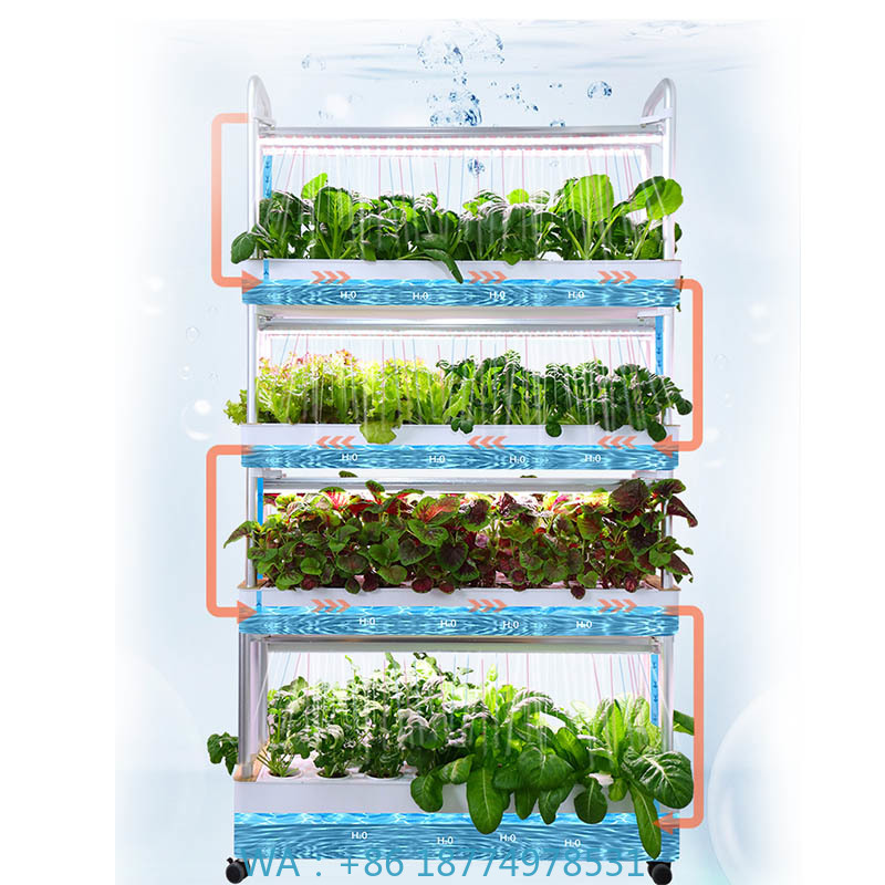 Sistema de plantación ydroponi - Home Automation Systems Diy reseña y precio